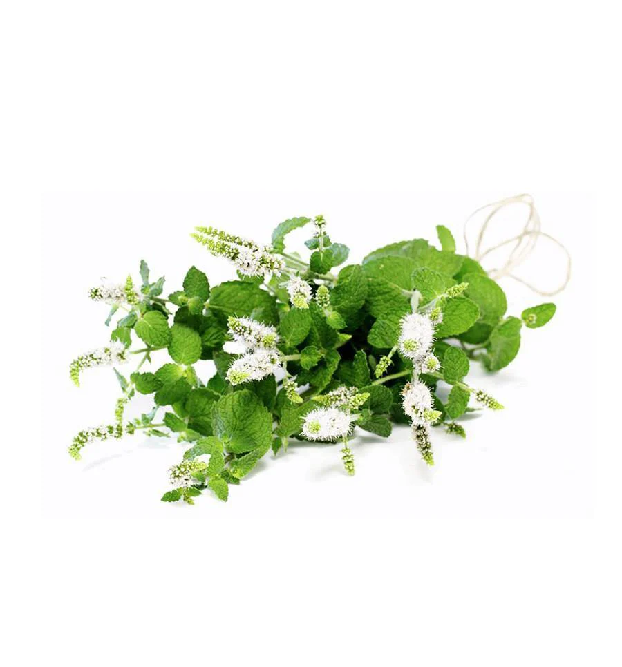 Holy Basil Essential Oils